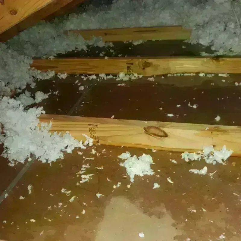 Attic Water Damage in Fort Bliss, TX