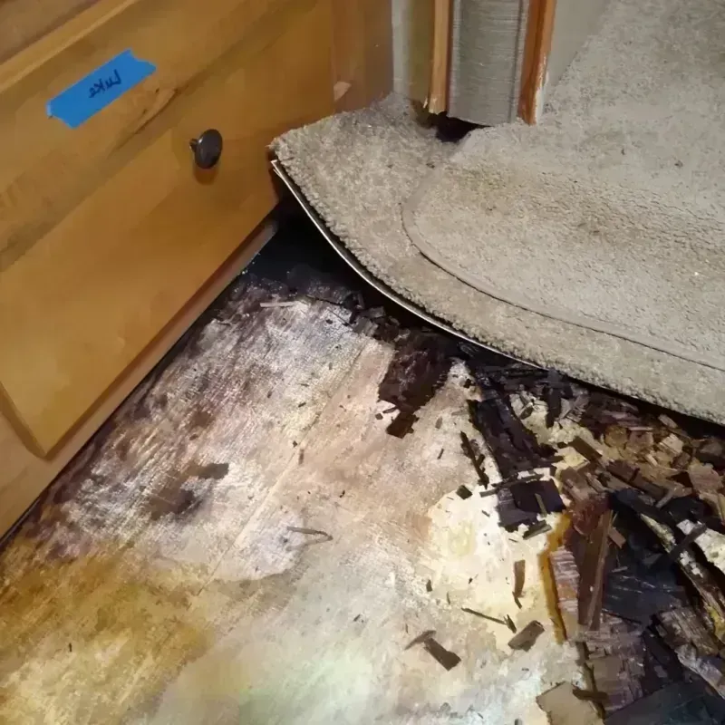 Best Wood Floor Water Damage Service in Fort Bliss, TX